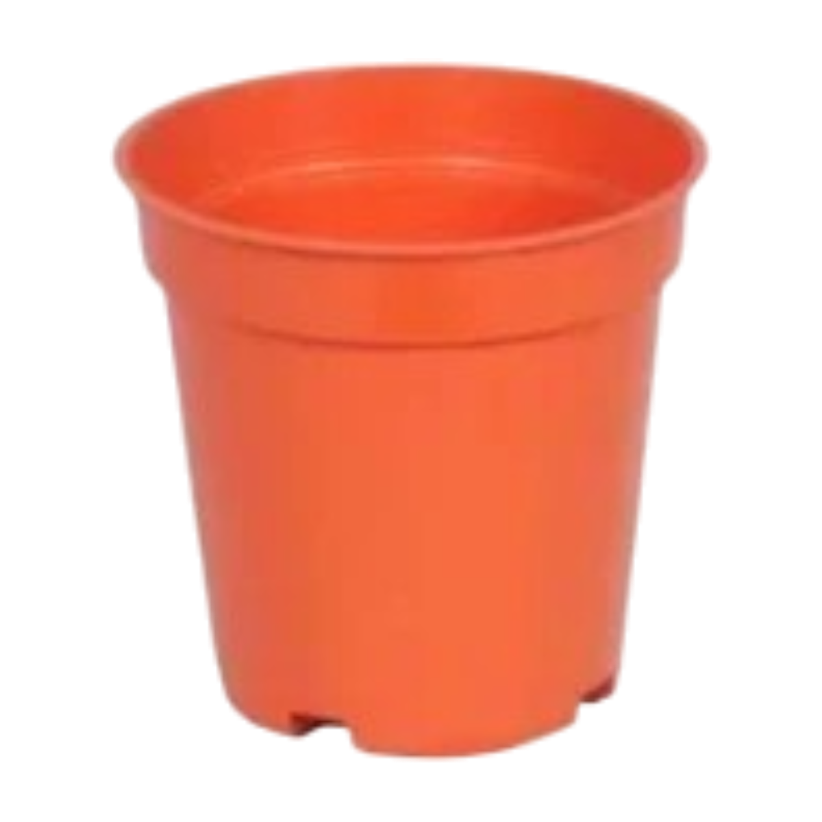 6" Without Collar Nursery Pot